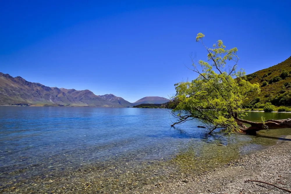 Lakeside Bliss