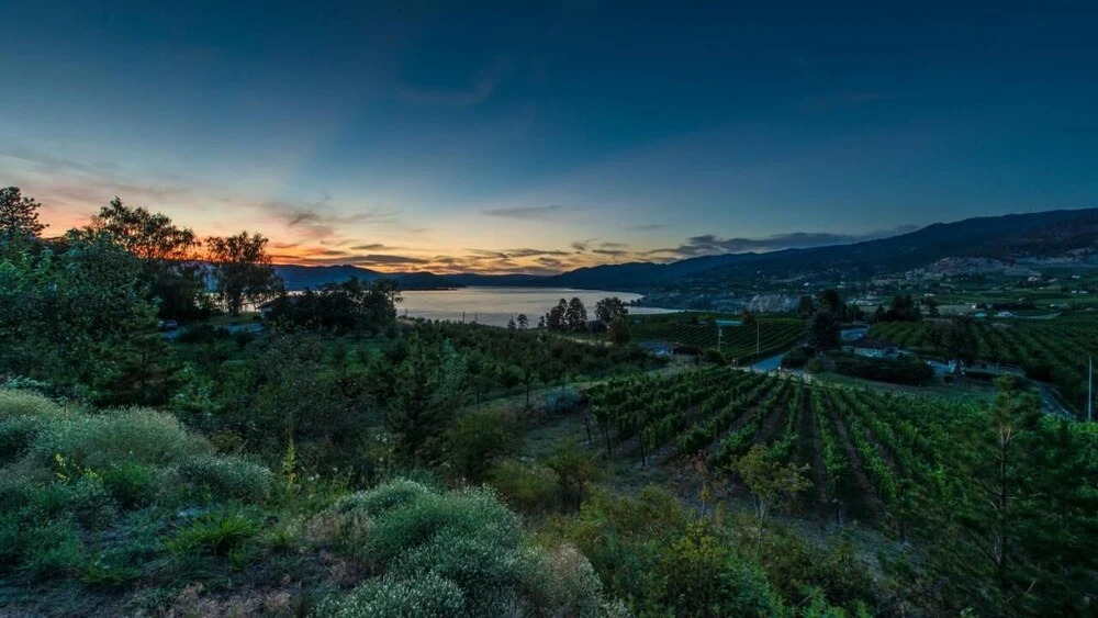 Munson Mountain Estates