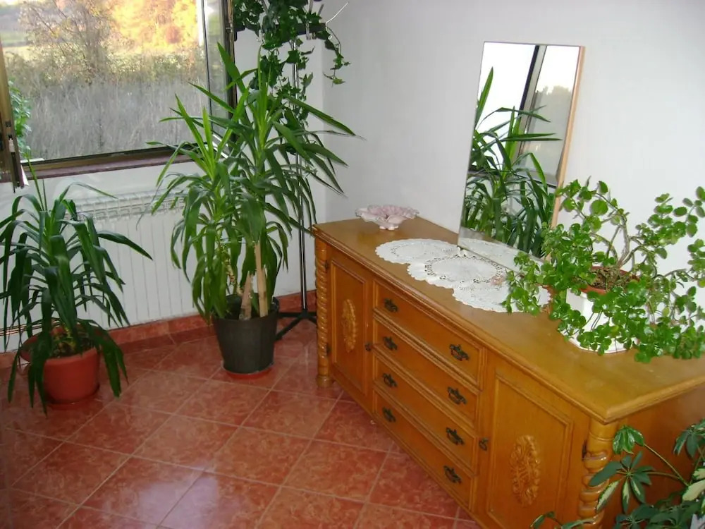 Guesthouse ROBI