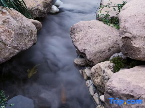 Jingdezhen Qulaishan Community Homestay (Sanbao Branch)