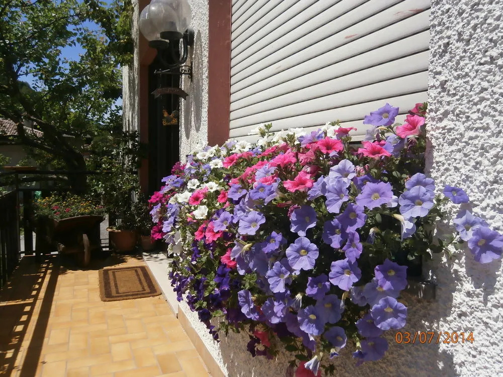 Hotel Garni Rosa