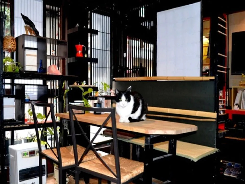 Kyoto Shirakawa Kiraku Inn