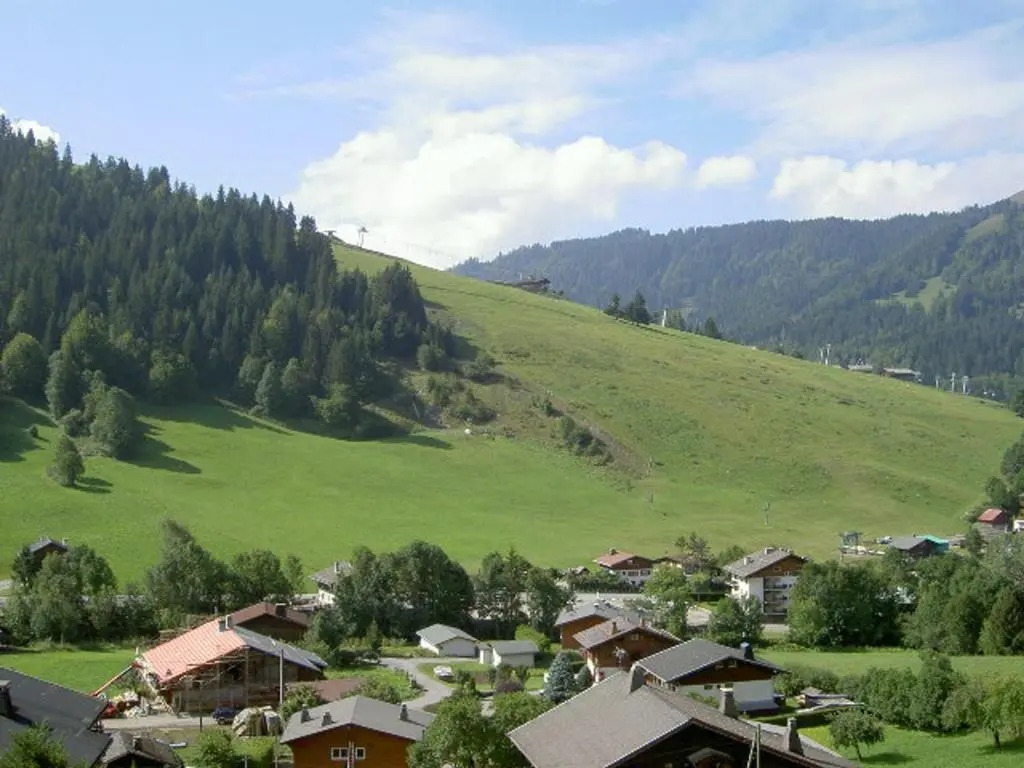 Appartement La Clusaz, 1 pièce, 5 personnes - FR-1-437-21