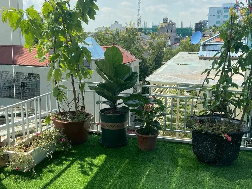 Haiphong Backpacker Hostel