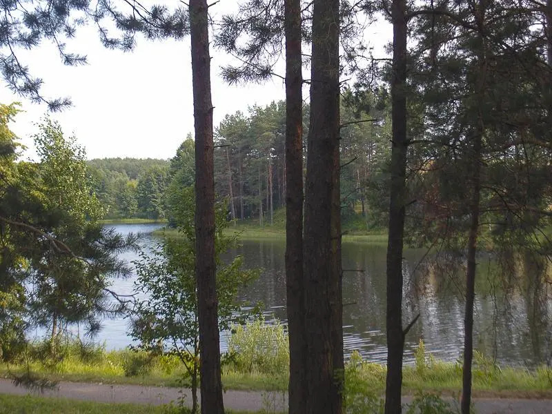 Romantic Attic Apartment Druskininkai