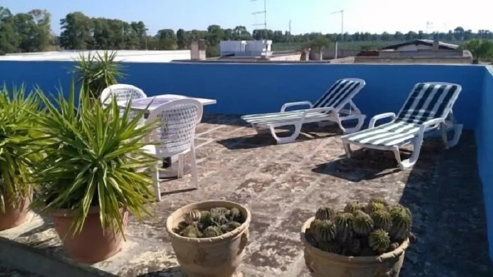 Geckos House