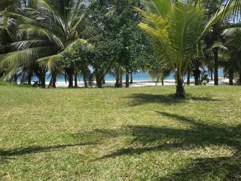 Shamba La Salama