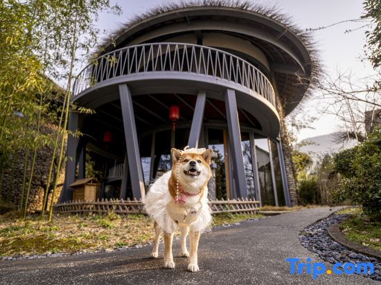 Anji Midsummer Dream Wild Luxury Homestay