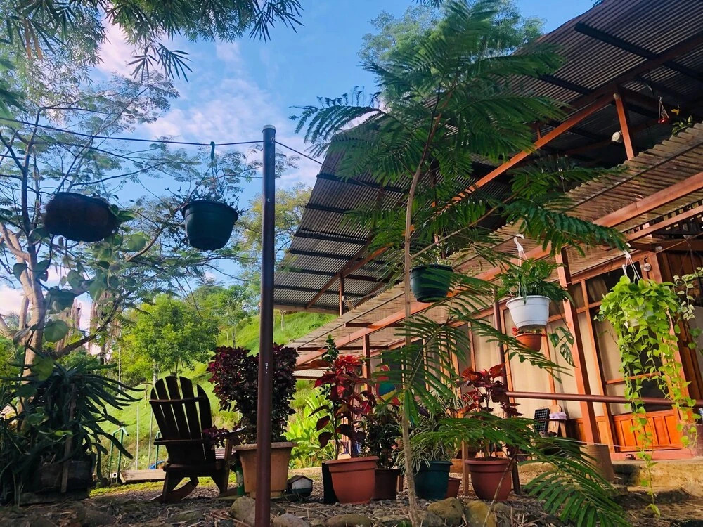Bamboo River House and Hotel