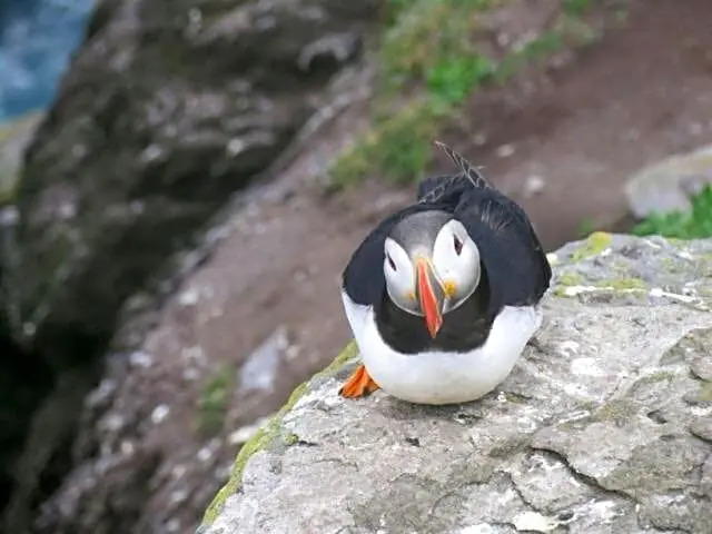 The Skellig Lodge & Hostel