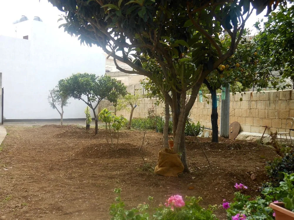 Il Giardino Del Corso