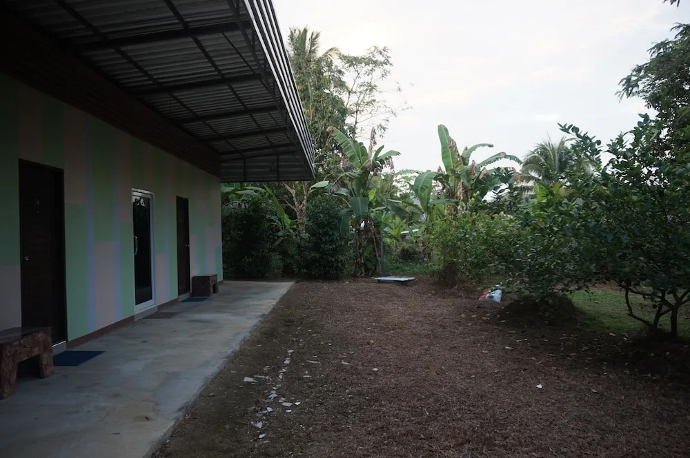The Park