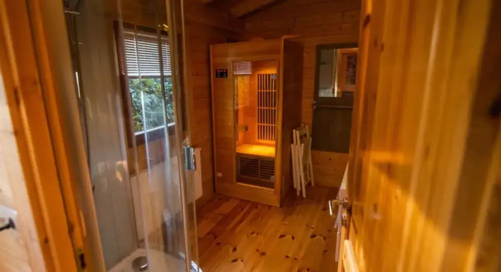 Lodge in Markelo With Sauna and Pool Nearby