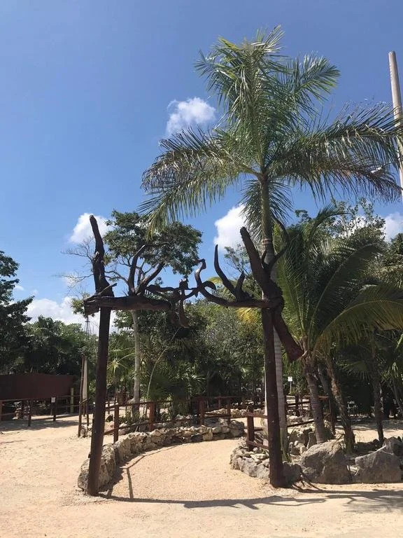 Zamna eco-lodge Tulum