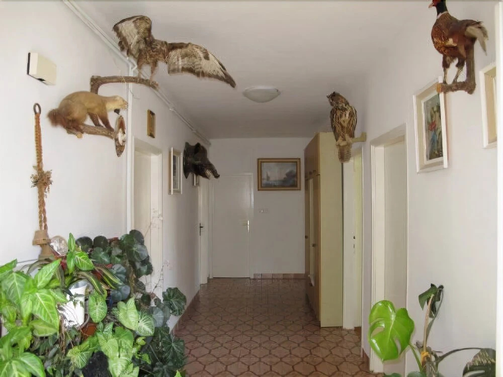 Apartments Rezika