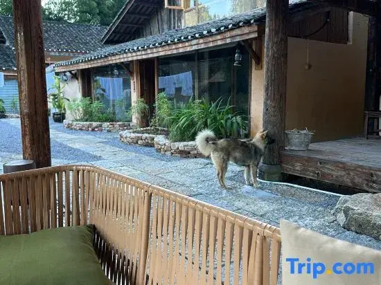 Zhangjiajie Yunshangde Jia Qianzhutang Homestay