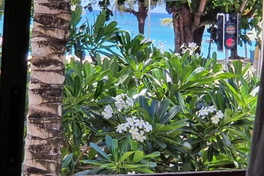 Porte du Bonheur - Freshly renovated 2 bedrooms flat - 50m from beach