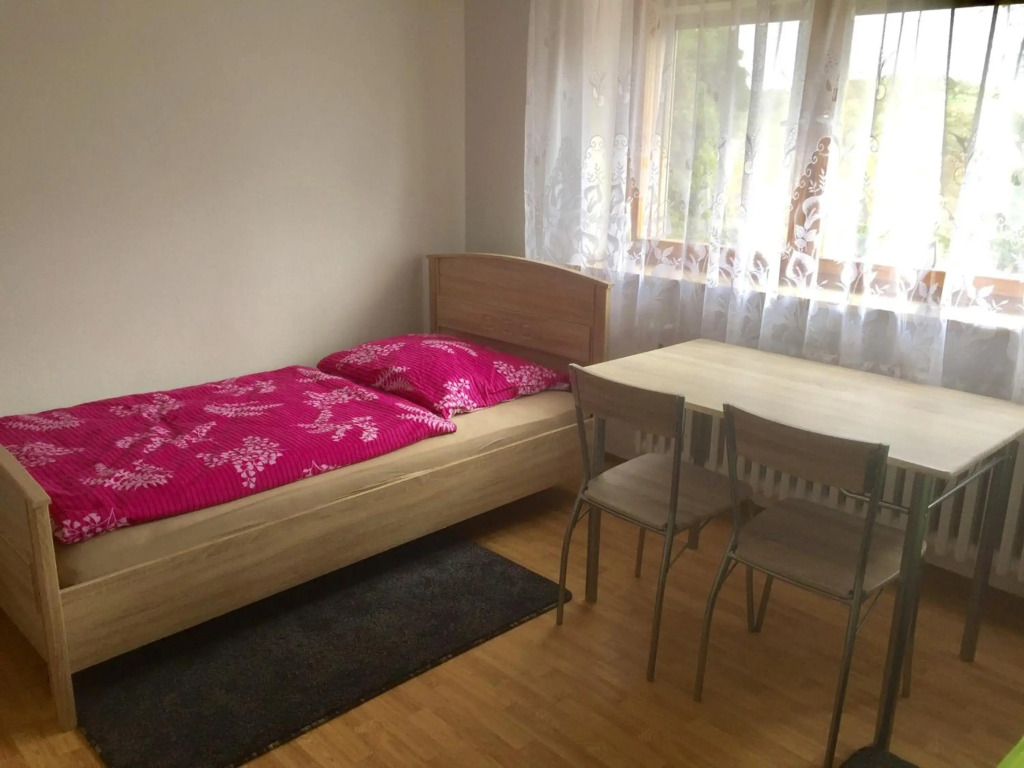 Mainzimmer Business Appartment - Monteurwohnung mit Burgblick