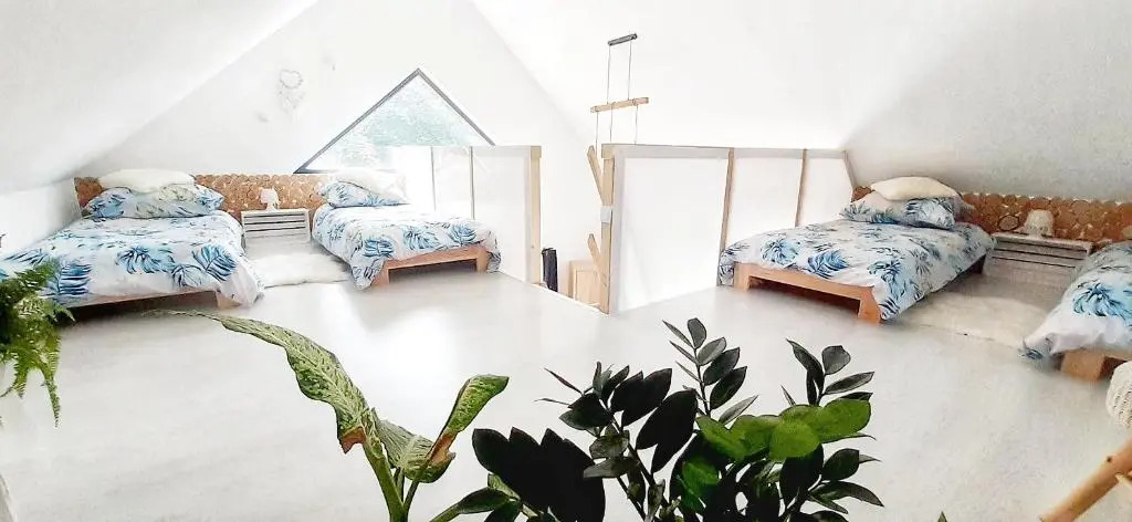 Eleonor Accommodation exclusive house