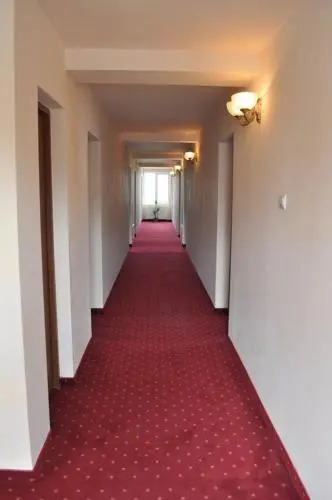 Pusca Si Cureaua Lata
