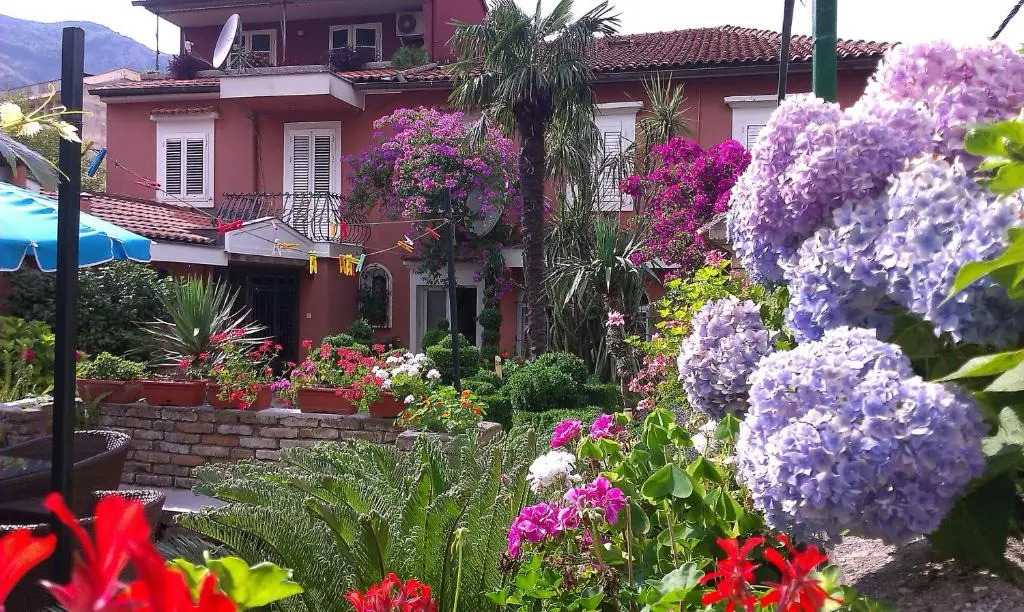 Apartment City Garden