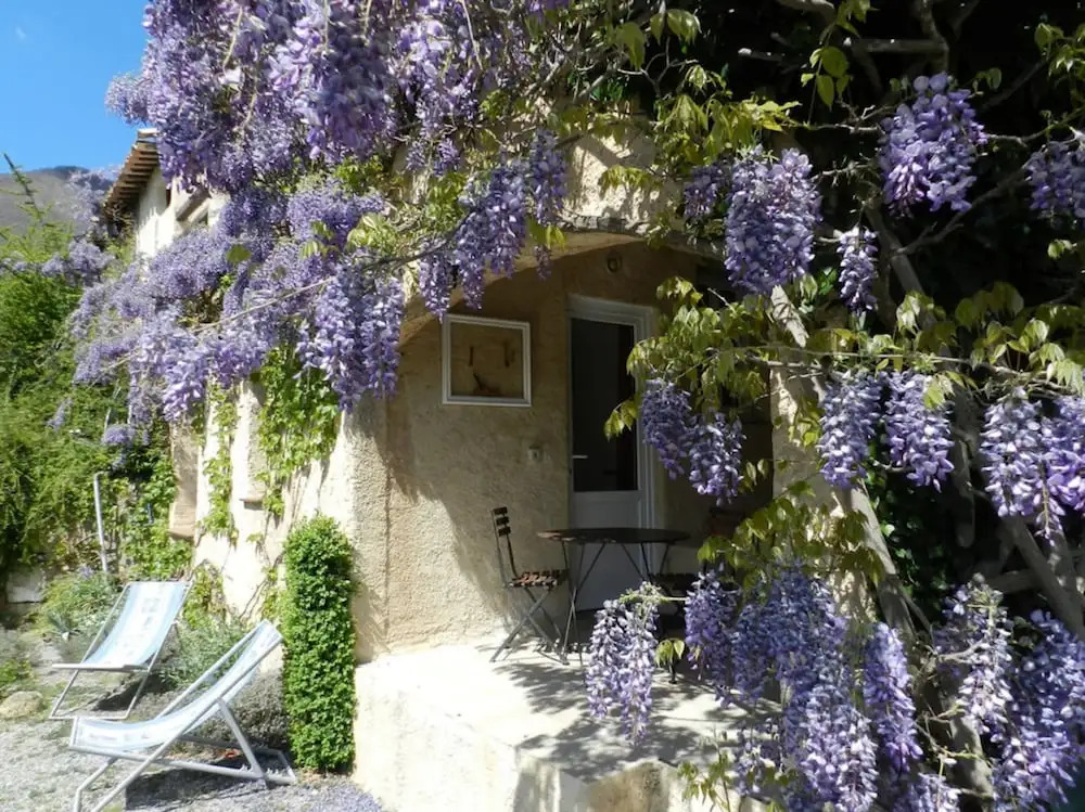 Chambre d'hôtes lavande