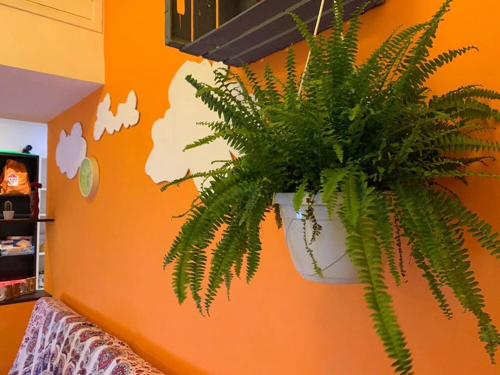 Apartment with One Bedroom in Genova, with Enclosed Garden And Wifi - 3 Km From the Beach