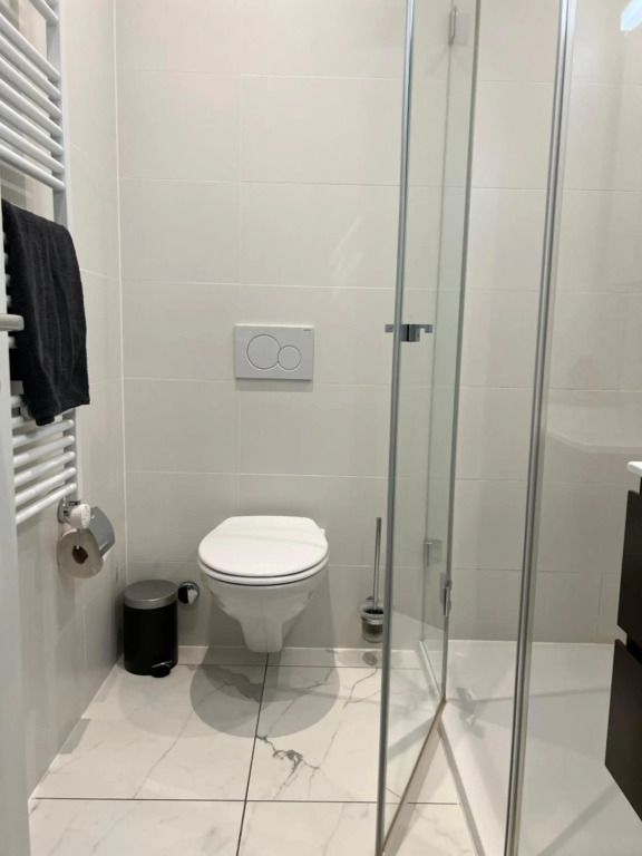 Luxury Apartment in Central Geneva