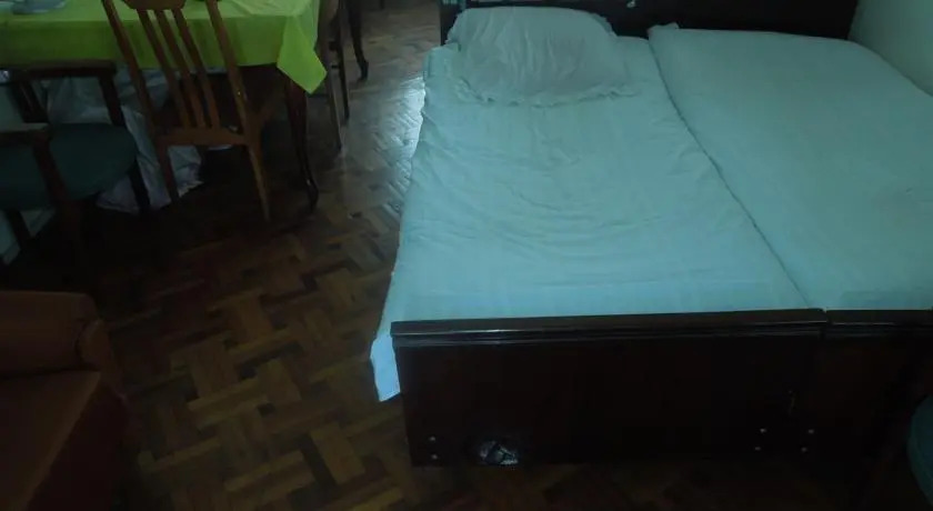 Zaza Apartment on Abashidze