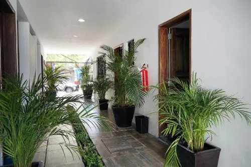 Red Panda Hostal