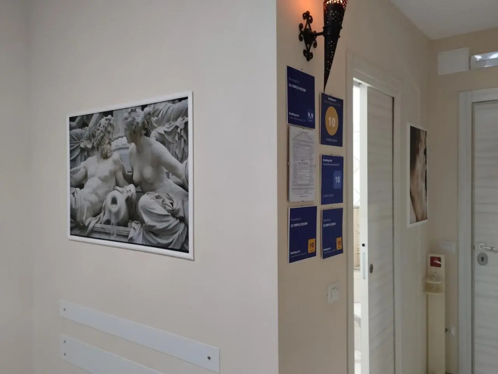OLYMPUS ROOM