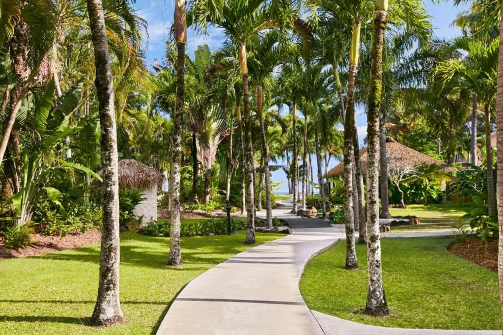 Motu Beachfront Art Villas