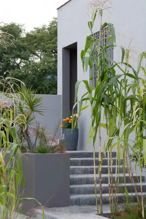 Light Filled Modern Apartment With Private Garden