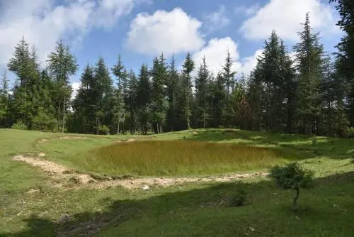 Snow Trails Camp