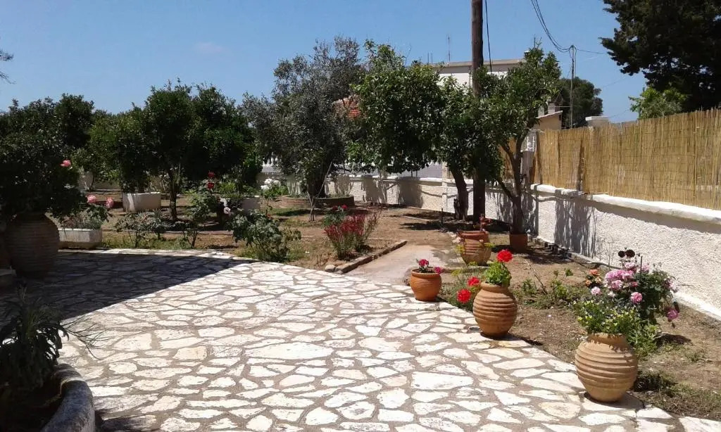 Lemon Garden