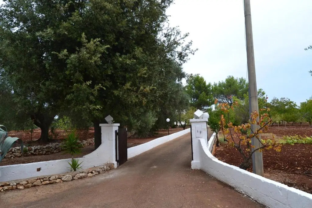 Villino di campagna tra gli ulivi