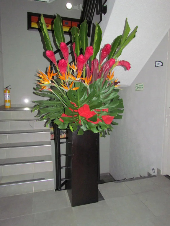 Hotel Business Ferial