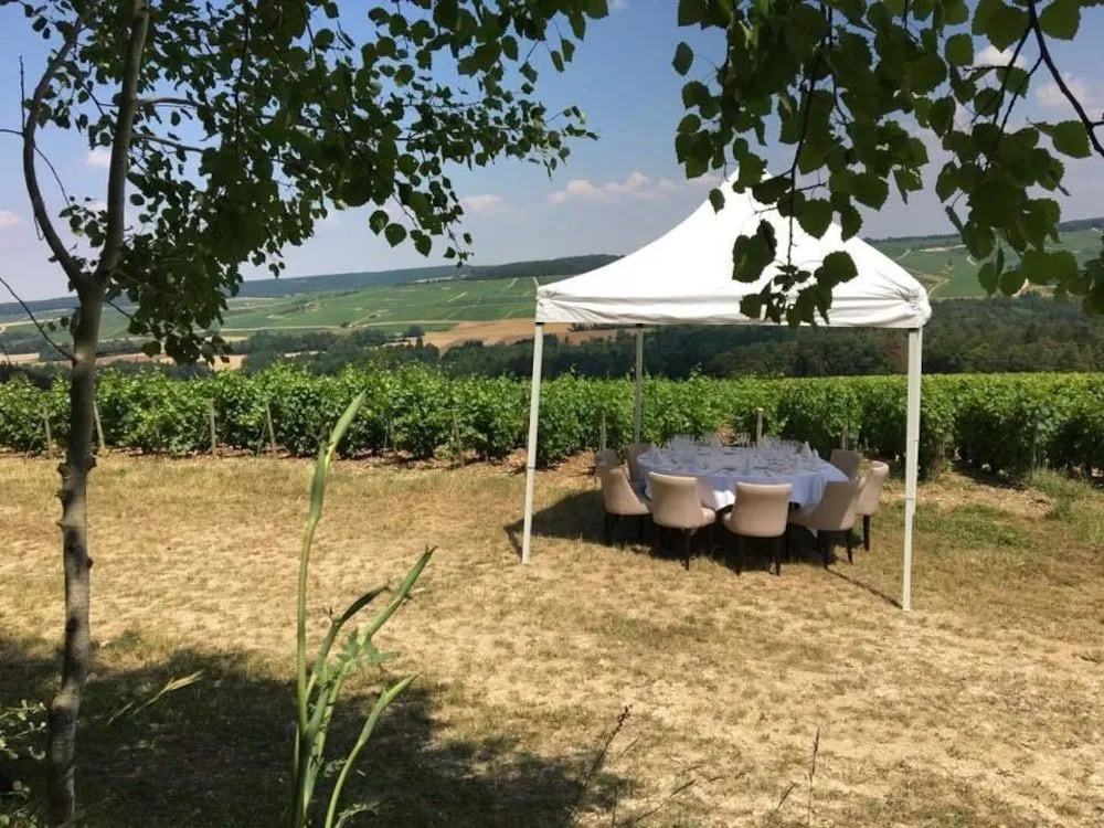 Logis Hôtel-Restaurant Domaine de Montecristo et Gîte lÉvasion Dantès