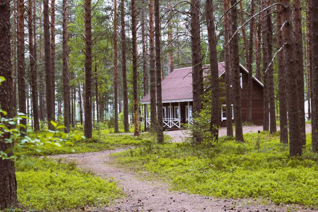 Sjamozero