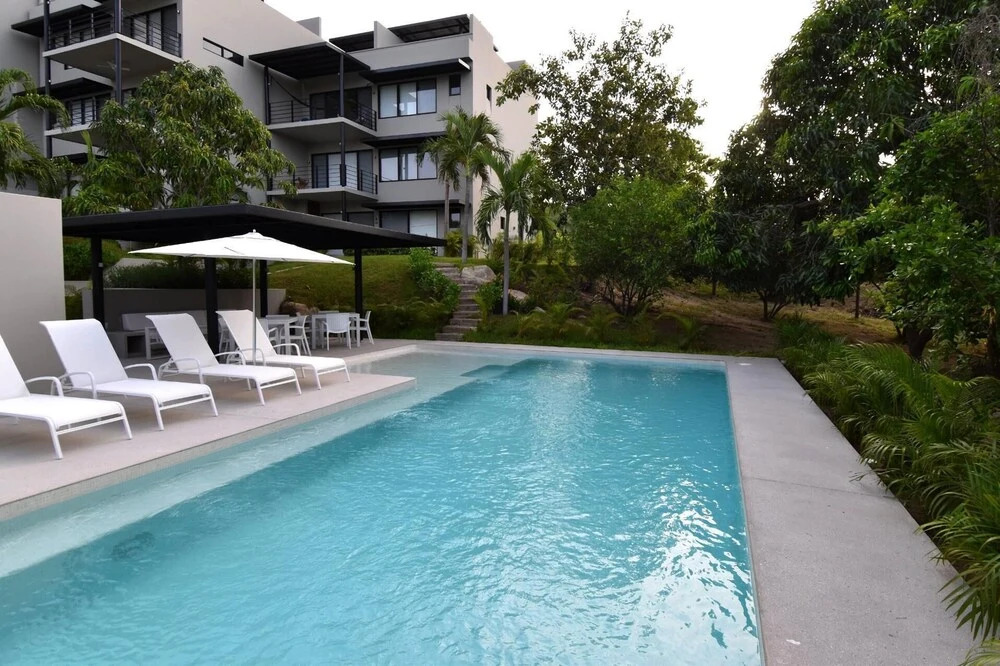 Agaves 204