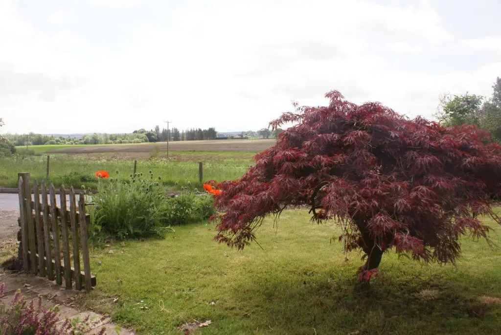 Smithy Cottage