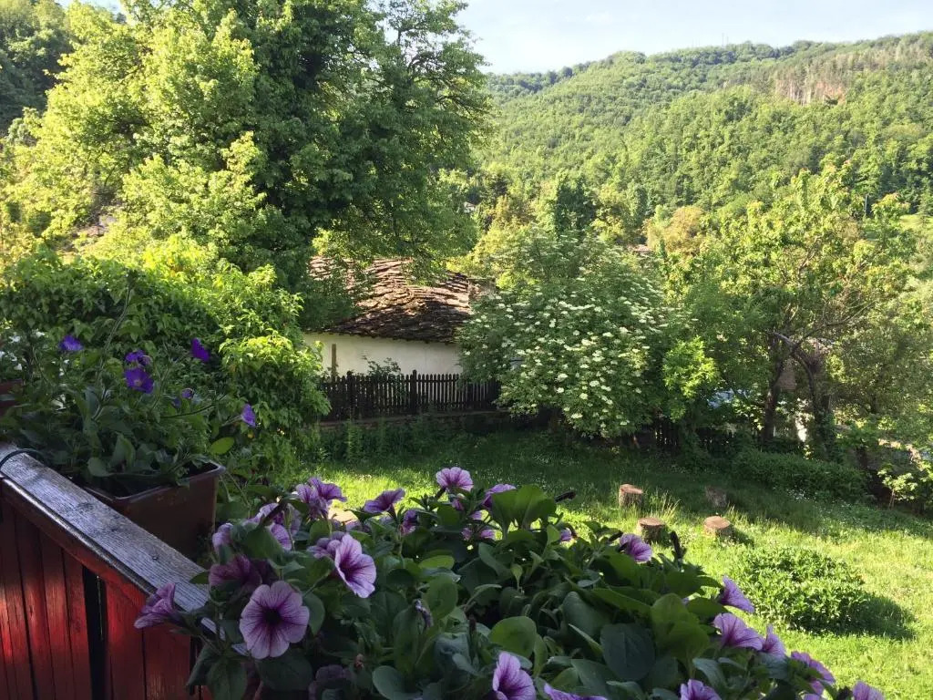 Stefanina Guesthouse