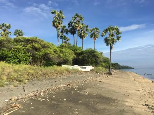 Villa Coral