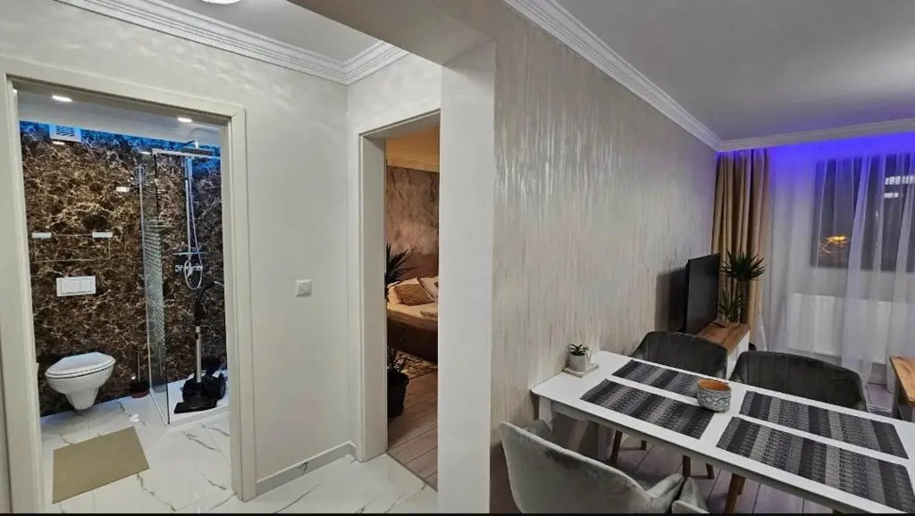 Divine Apartments Oradea Ap 19