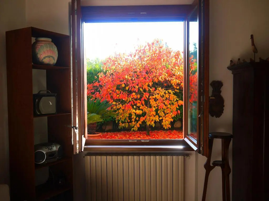 La Cincia Allegra