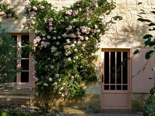 Les Belles Perdrix