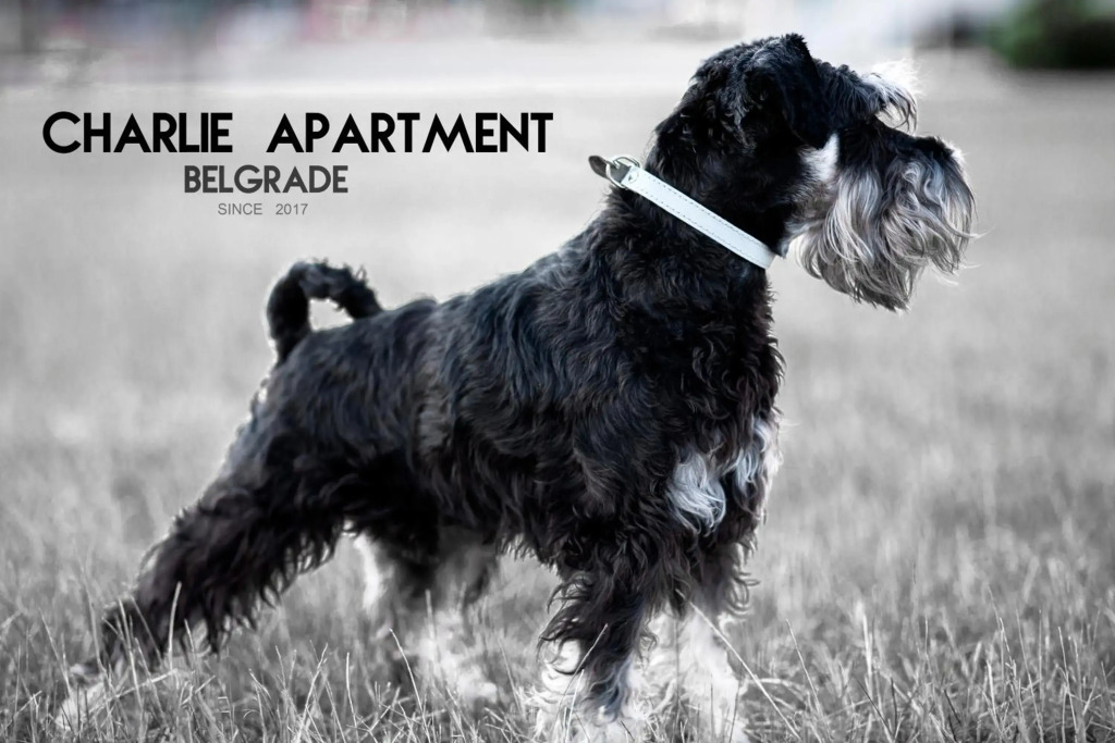 Apartment Charlie