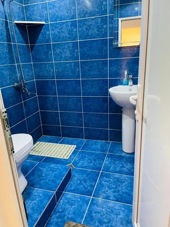 Travel Inn House Mestia • მოგზაურის სახლი