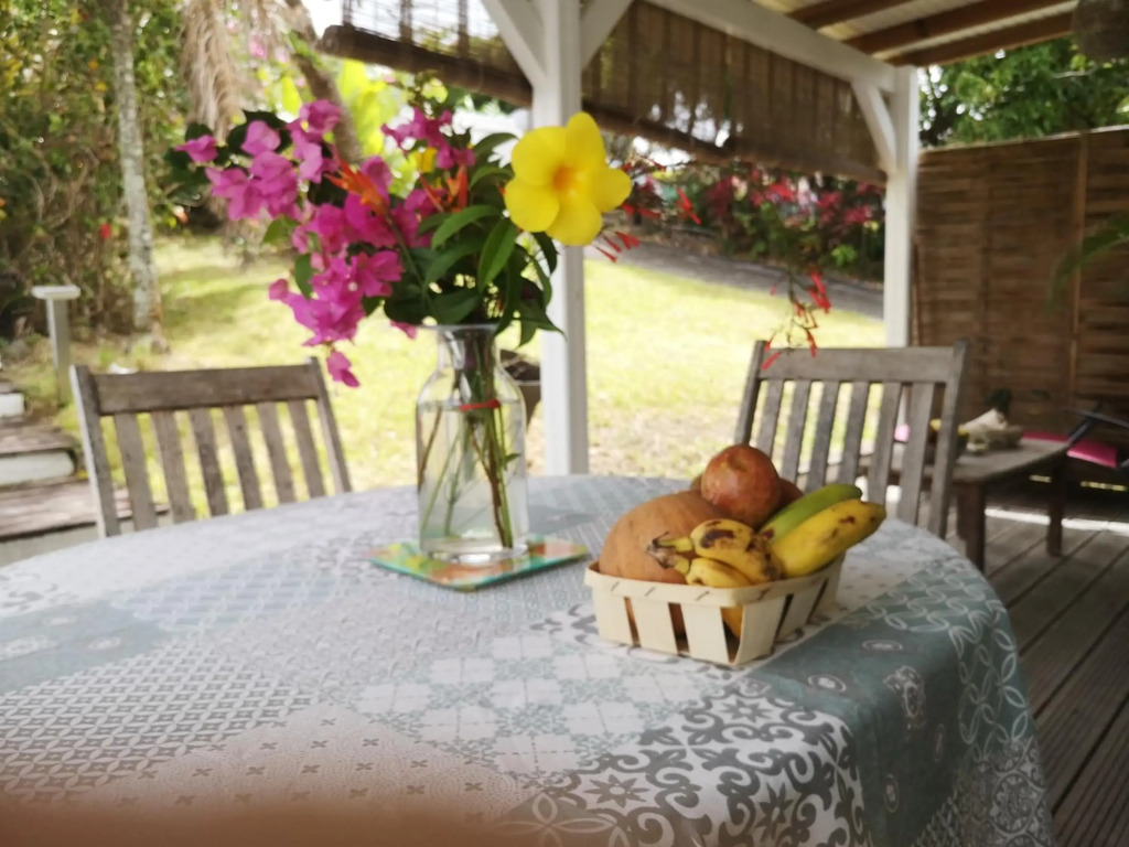 TICASE SOLEIL - F2 tout confort, terrasse, jardin privatif, DIDIER