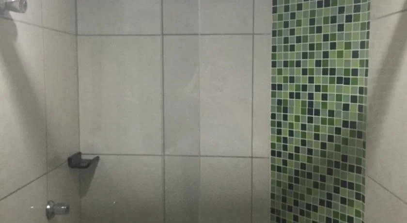 HOTEL FLOR DO AMAZONAS